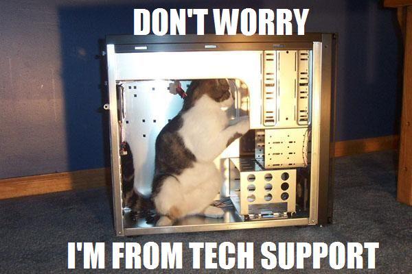 Kitty going Don't worry, I'm from Tech Support